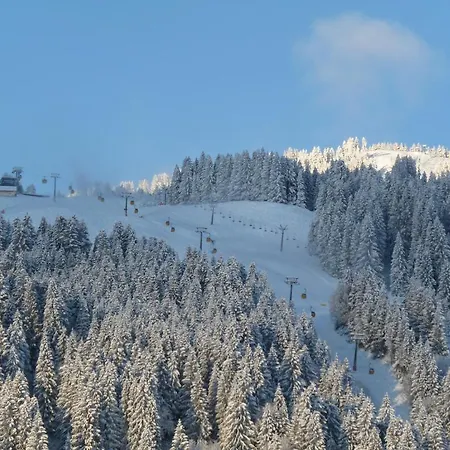 Silberdistel Garni 3* Bolsterlang