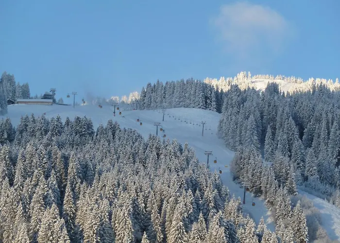 Silberdistel Garni 4* Bolsterlang